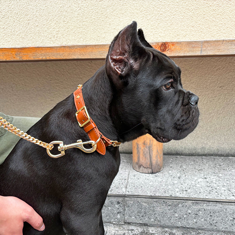Loudik Wholesale Pet Collar Le - Leather Strap Quick Release avaliação e preço